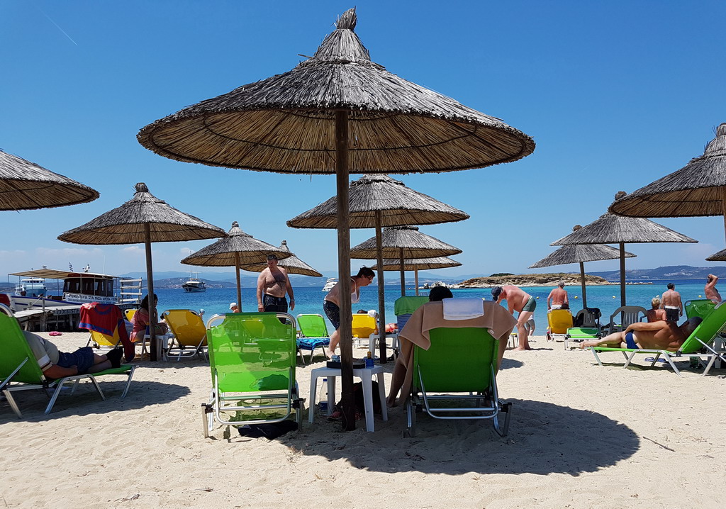  Drenia Magareća ostrva Atos 